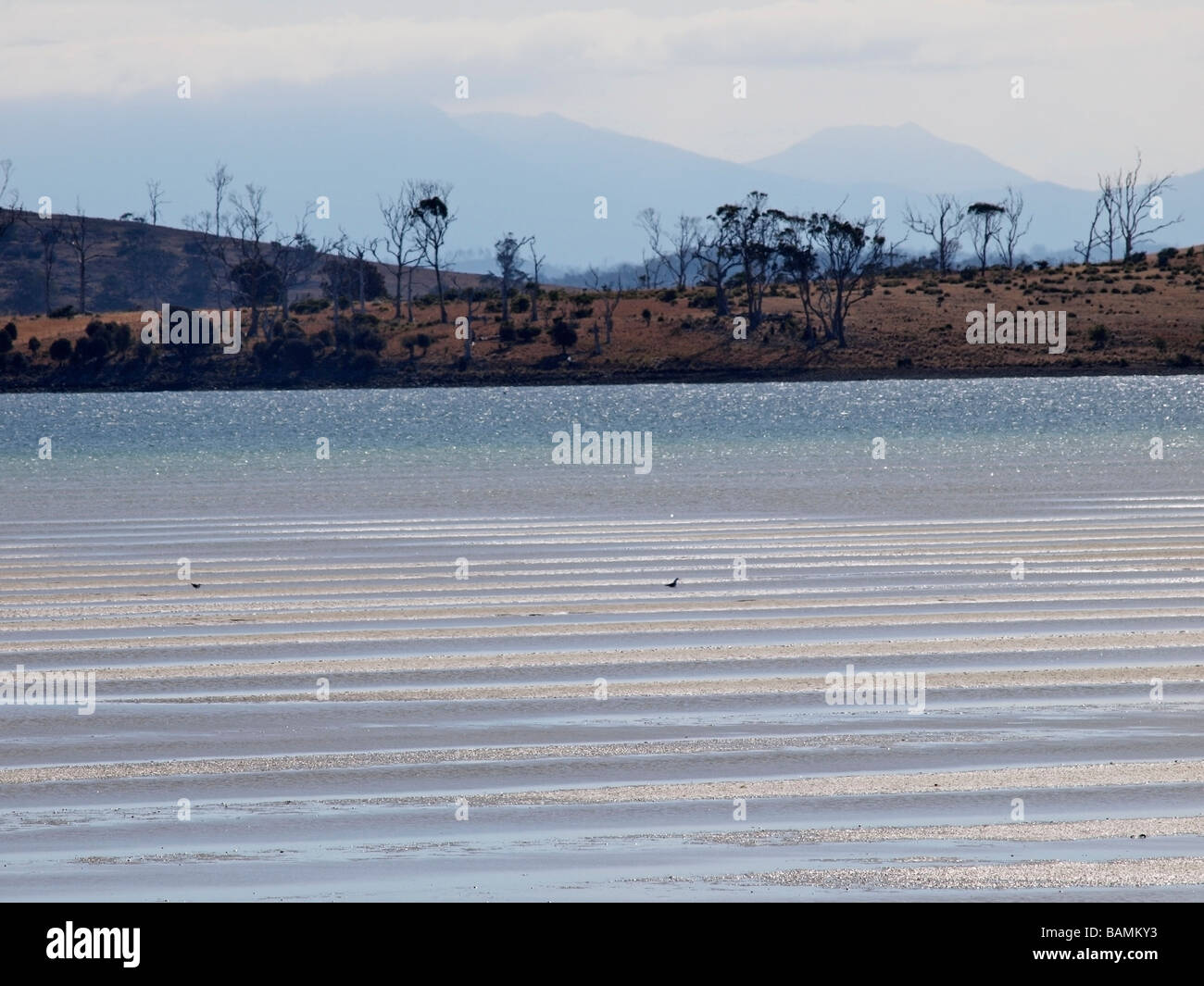 Sabbia ondulata appartamenti a bassa marea norfolk bay tasmania australia Foto Stock