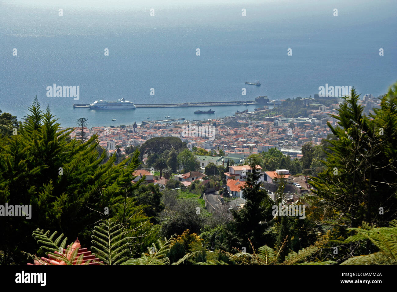 Funchal dal Monte Palace Gardens Foto Stock