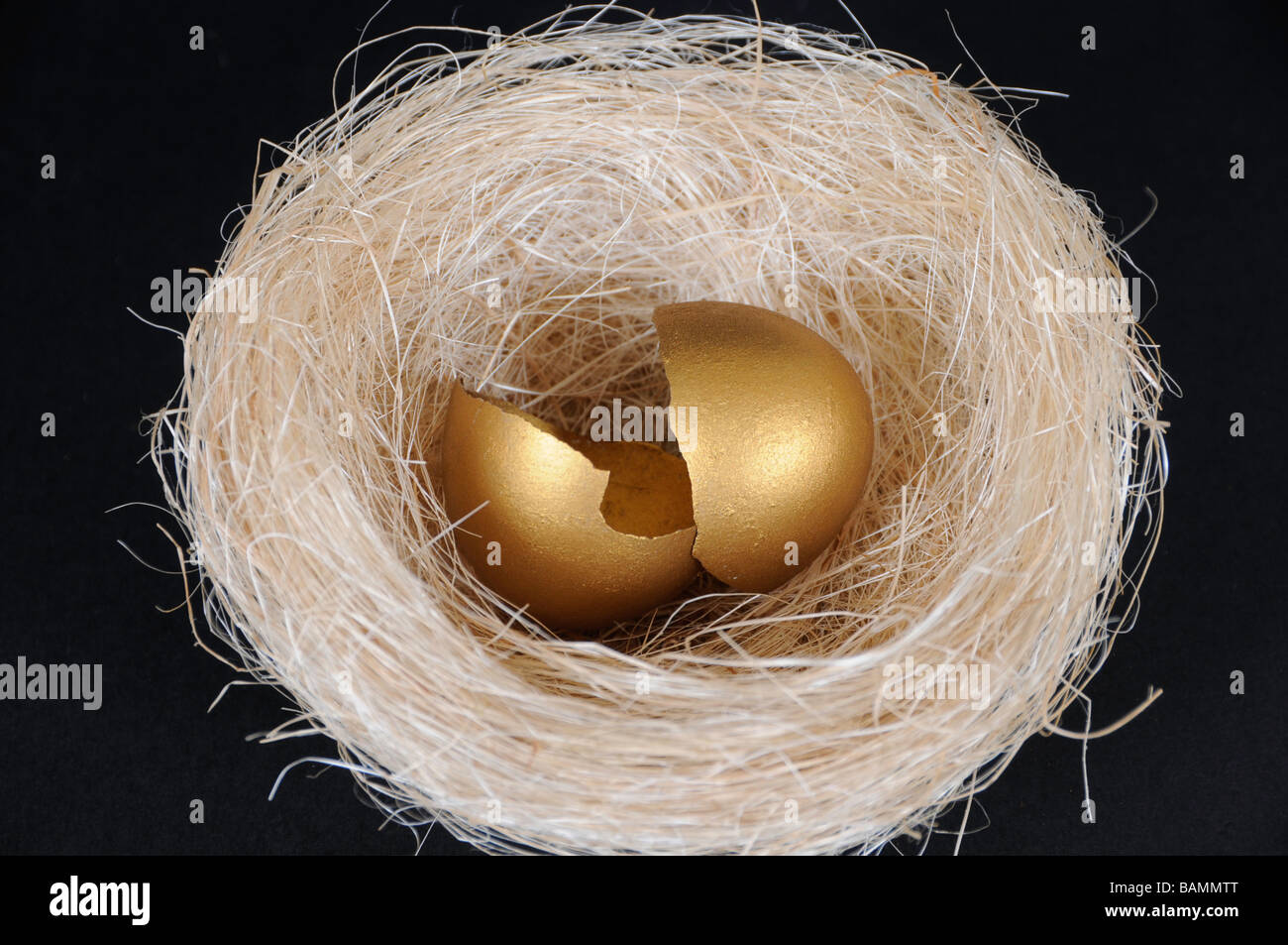 Svuotare Golden Nest uovo Foto Stock