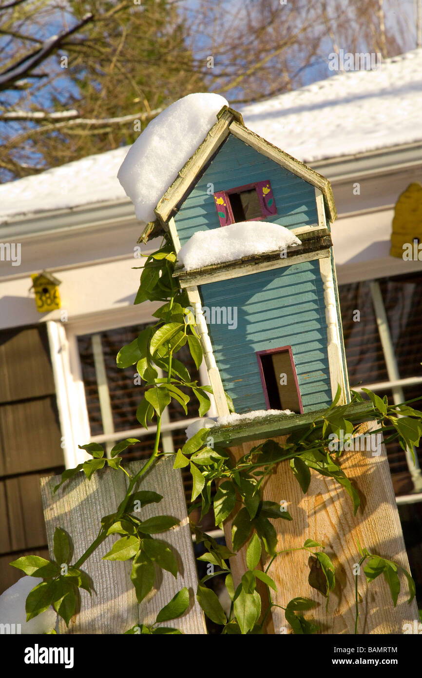 Casa uccello appollaiato su un recinto durante il periodo invernale Foto Stock