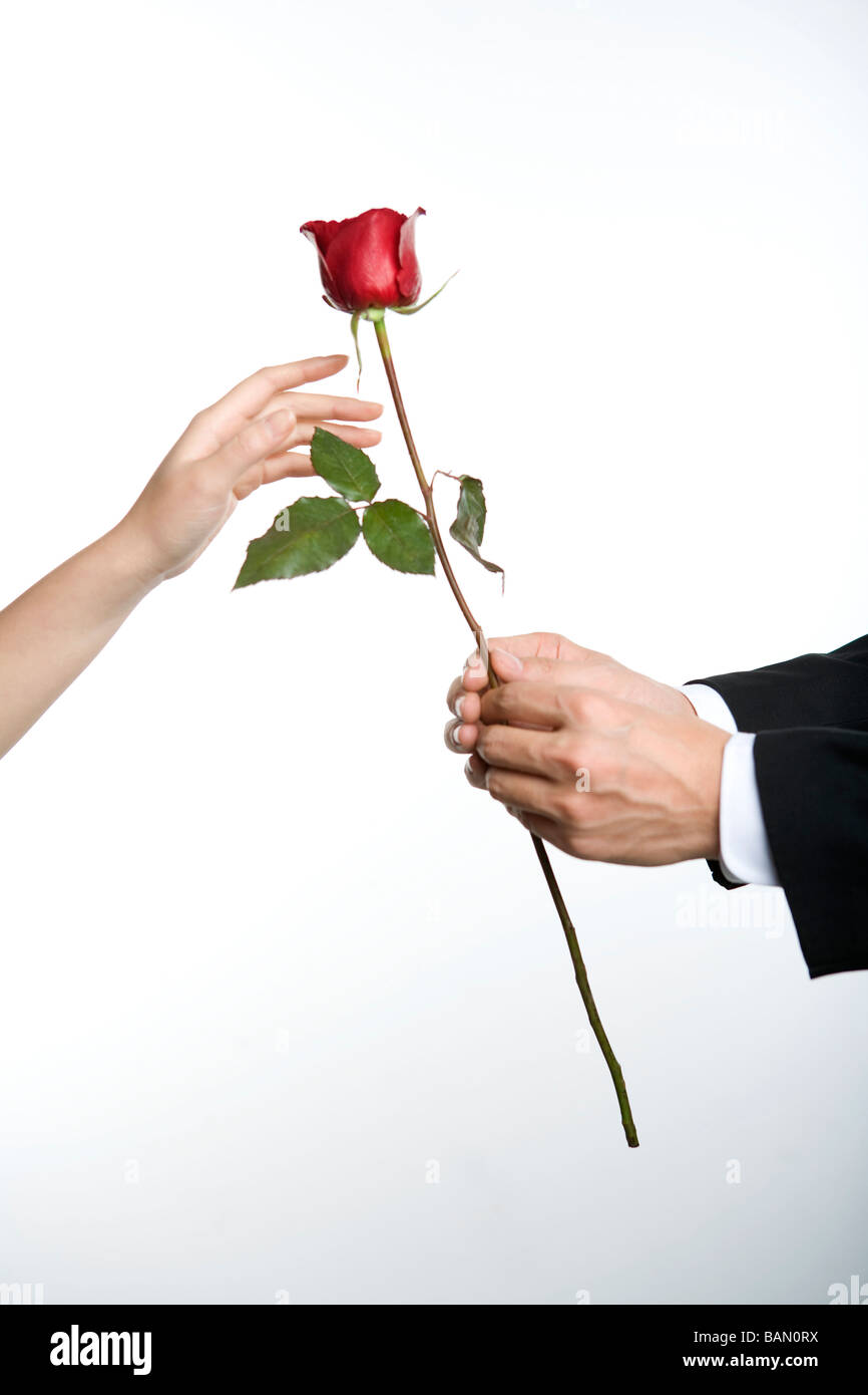 Regalare una rosa Foto stock - Alamy