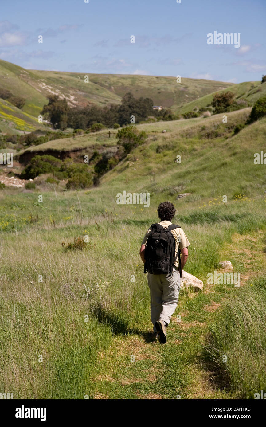 L'uomo escursionismo su Scorpion Canyon Trail, Isola di Santa Cruz, Channel Islands National Park, California Foto Stock