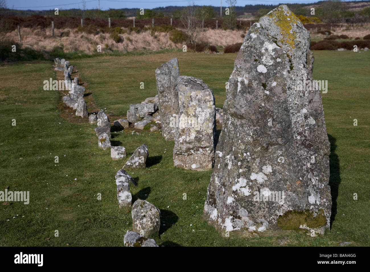 I draghi denti pietre permanente e pietra fila Beaghmore circoli di pietra County Tyrone Irlanda del Nord Regno Unito Foto Stock