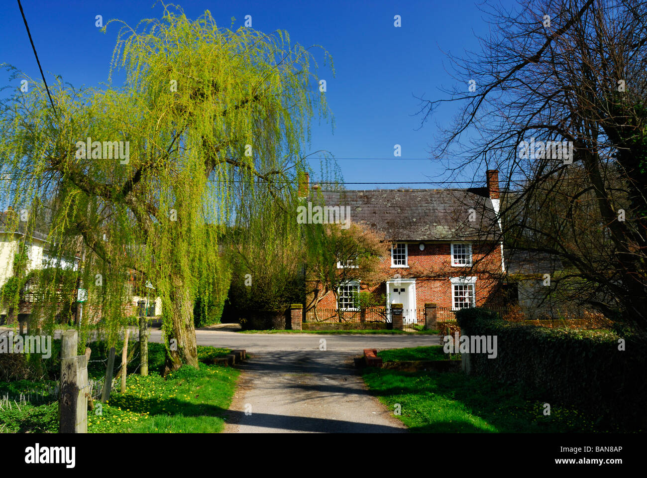 Cottage tradizionale nel piccolo villaggio rurale di oltre Wallop in Witshire England Regno Unito Foto Stock
