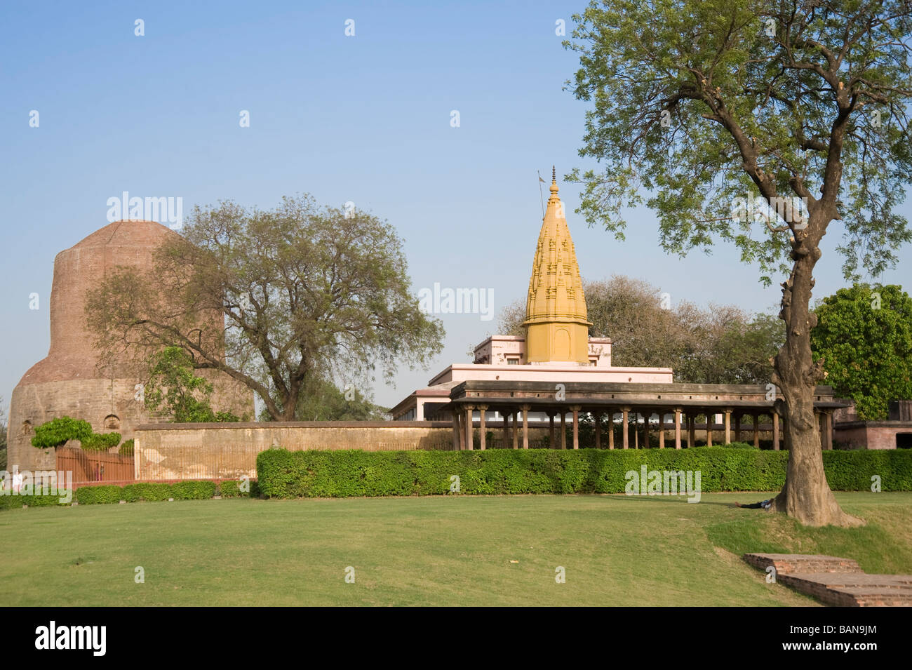 Isipatana Deer Park Sarnath Uttar Pradesh, India Foto Stock