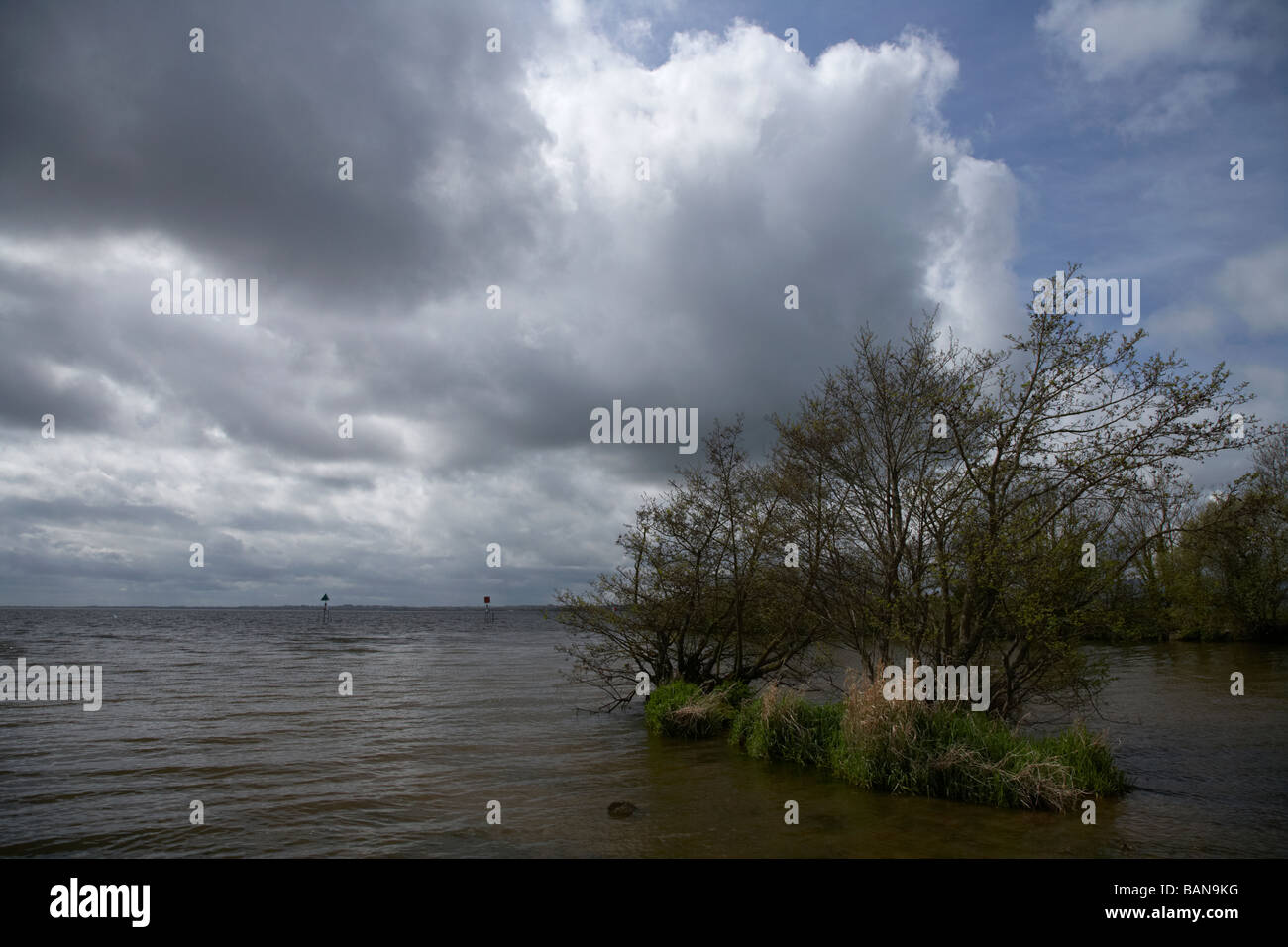 Rive del Lough Neagh sotto il cielo nuvoloso al fiume bann toome County Antrim Irlanda del Nord Foto Stock