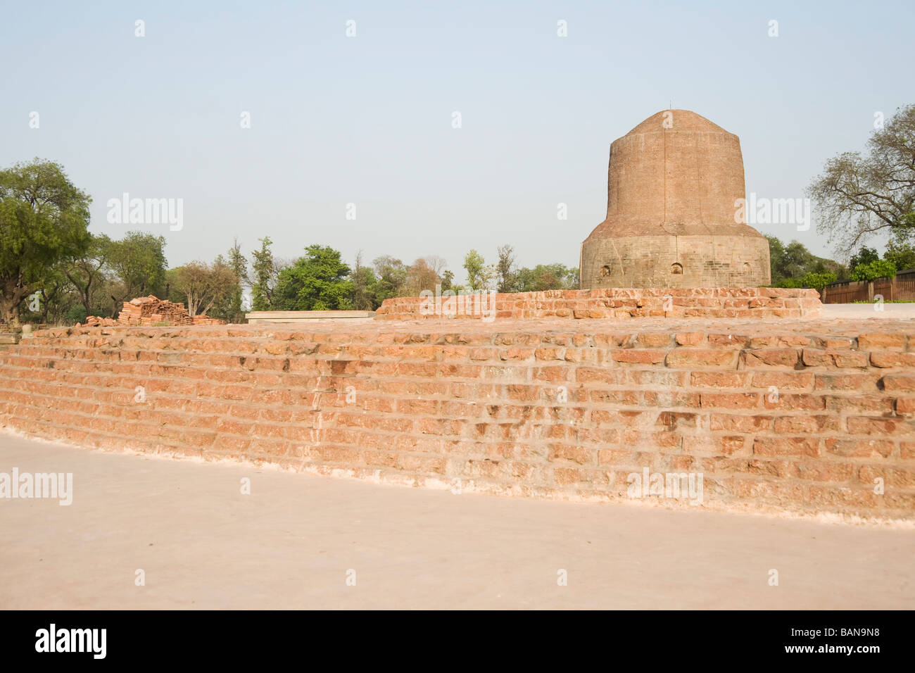 Isipatana Deer Park Sarnath Uttar Pradesh, India Foto Stock