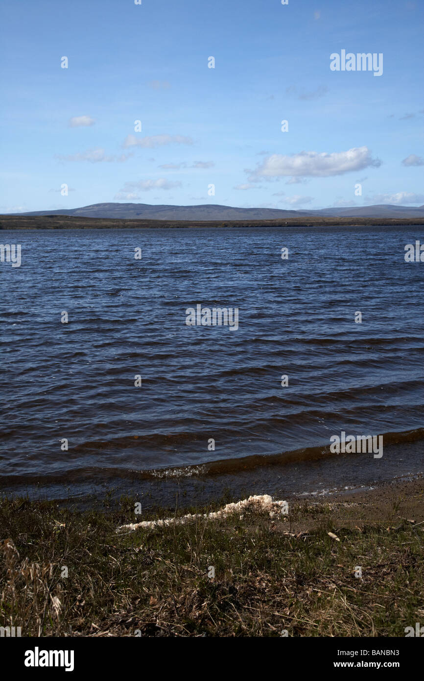 Lough fea sul confine della contea di Tyrone e della contea di derry Londonderry in Irlanda del Nord Foto Stock