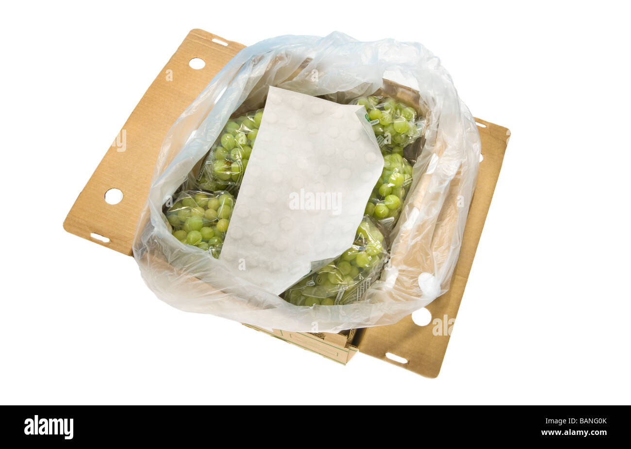 Qualità seedless uva da tavola pranzo pack in guardia con foglio di carta di ingrediente attivo di sodio bisolfito meta contro funghi come Foto Stock