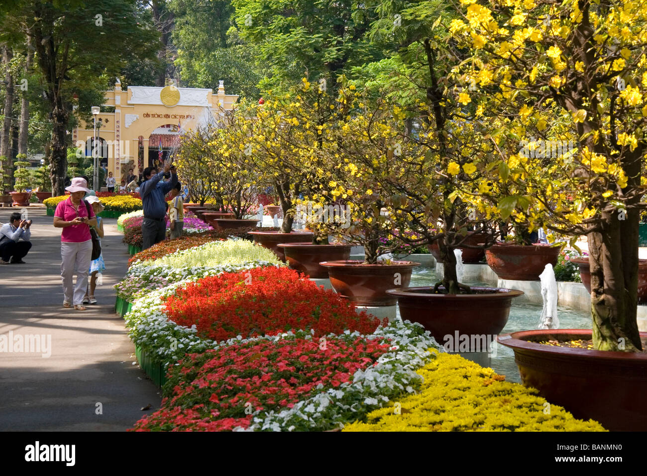 I fiori in mostra al Nguyen Hue Boulevard Flower Show in Ho Chi Minh City Vietnam Foto Stock