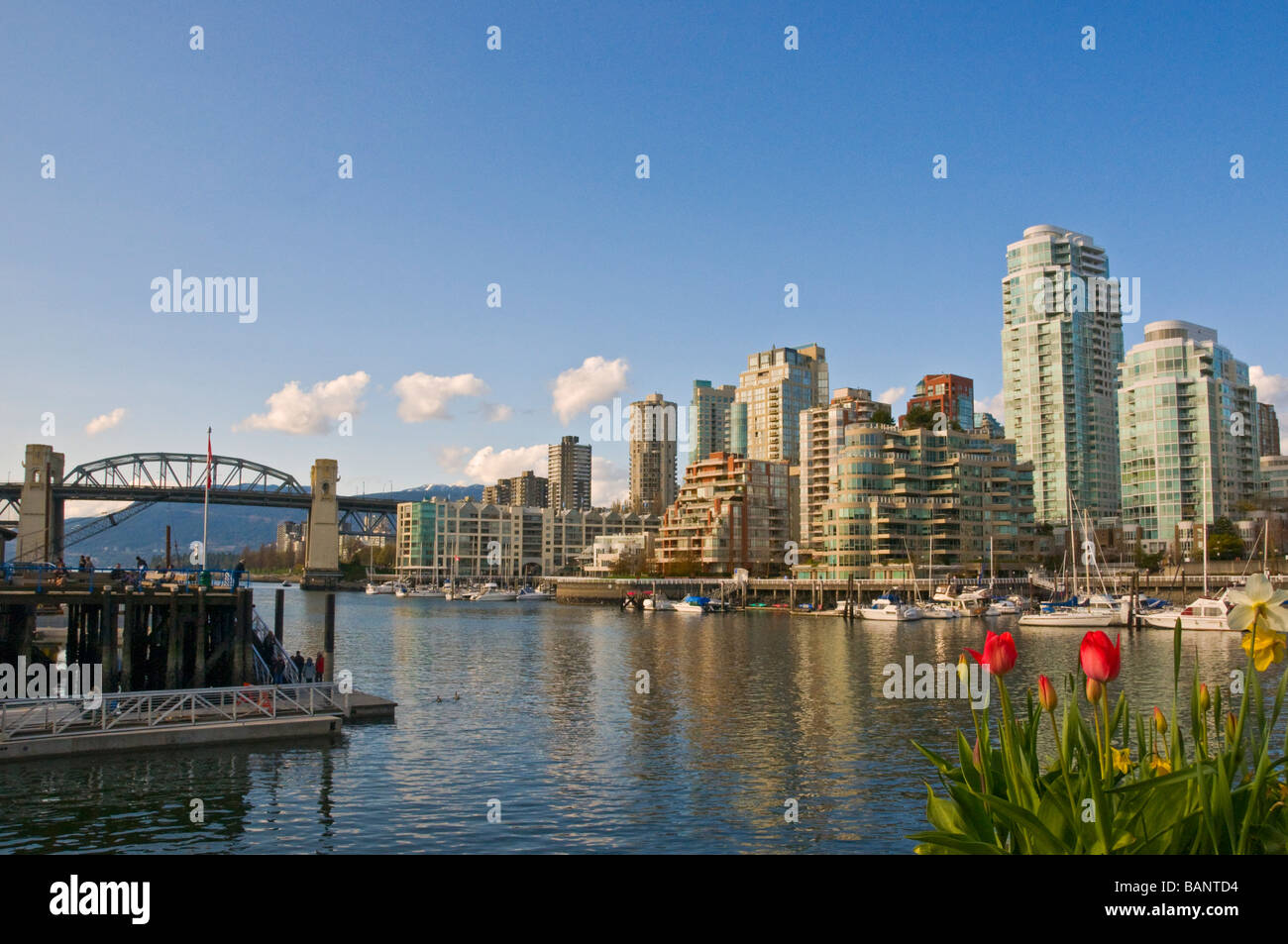 Vista del centro cittadino di Vancouver da Granville Island Foto Stock