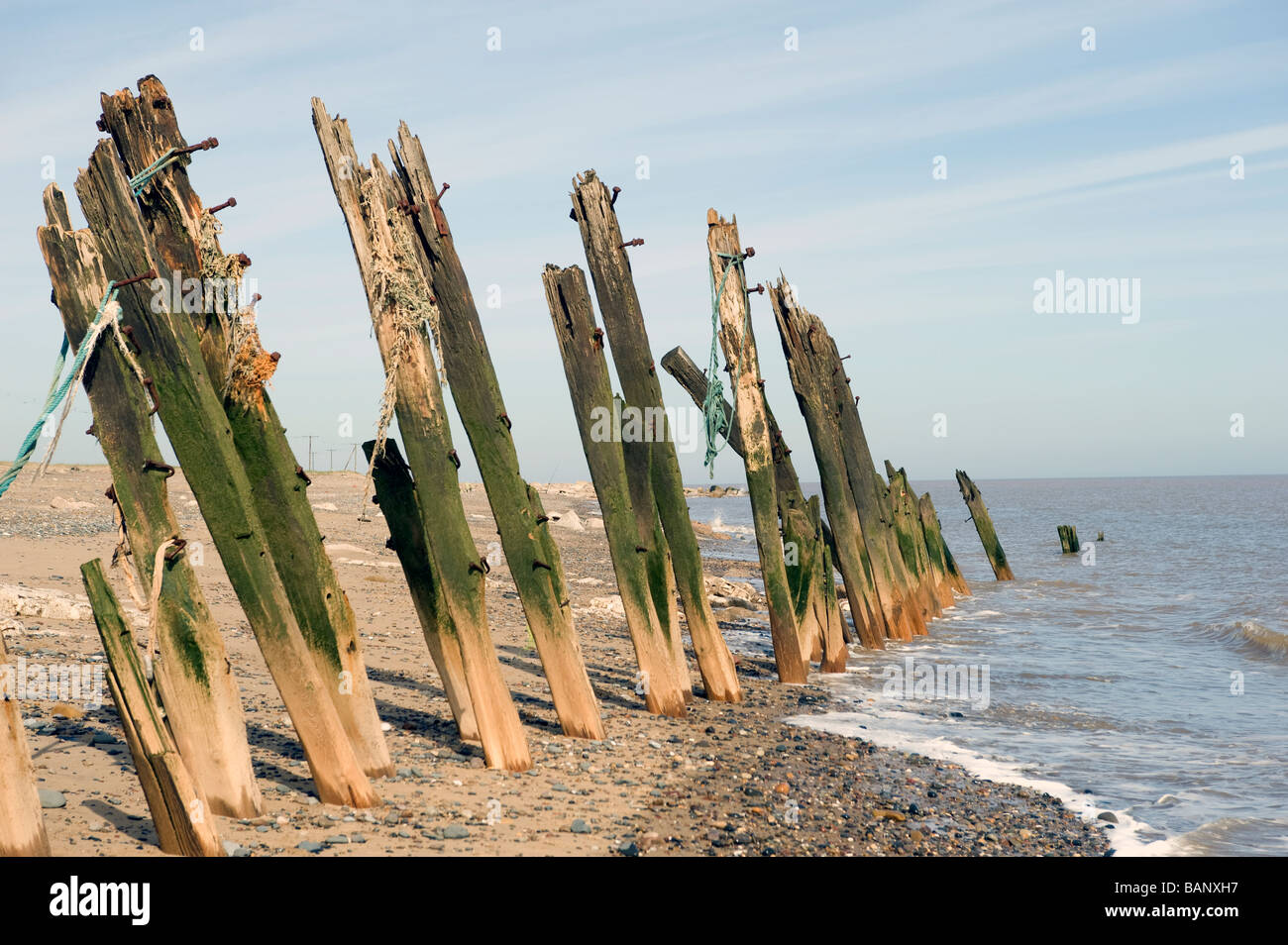 Punto di disprezzare, resti di un antico mare sistema di difesa con chiodi arrugginiti legno usurato e pebbes Foto Stock