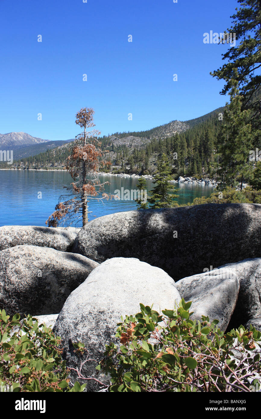 Lake Tahoe scenic, California. Foto Stock