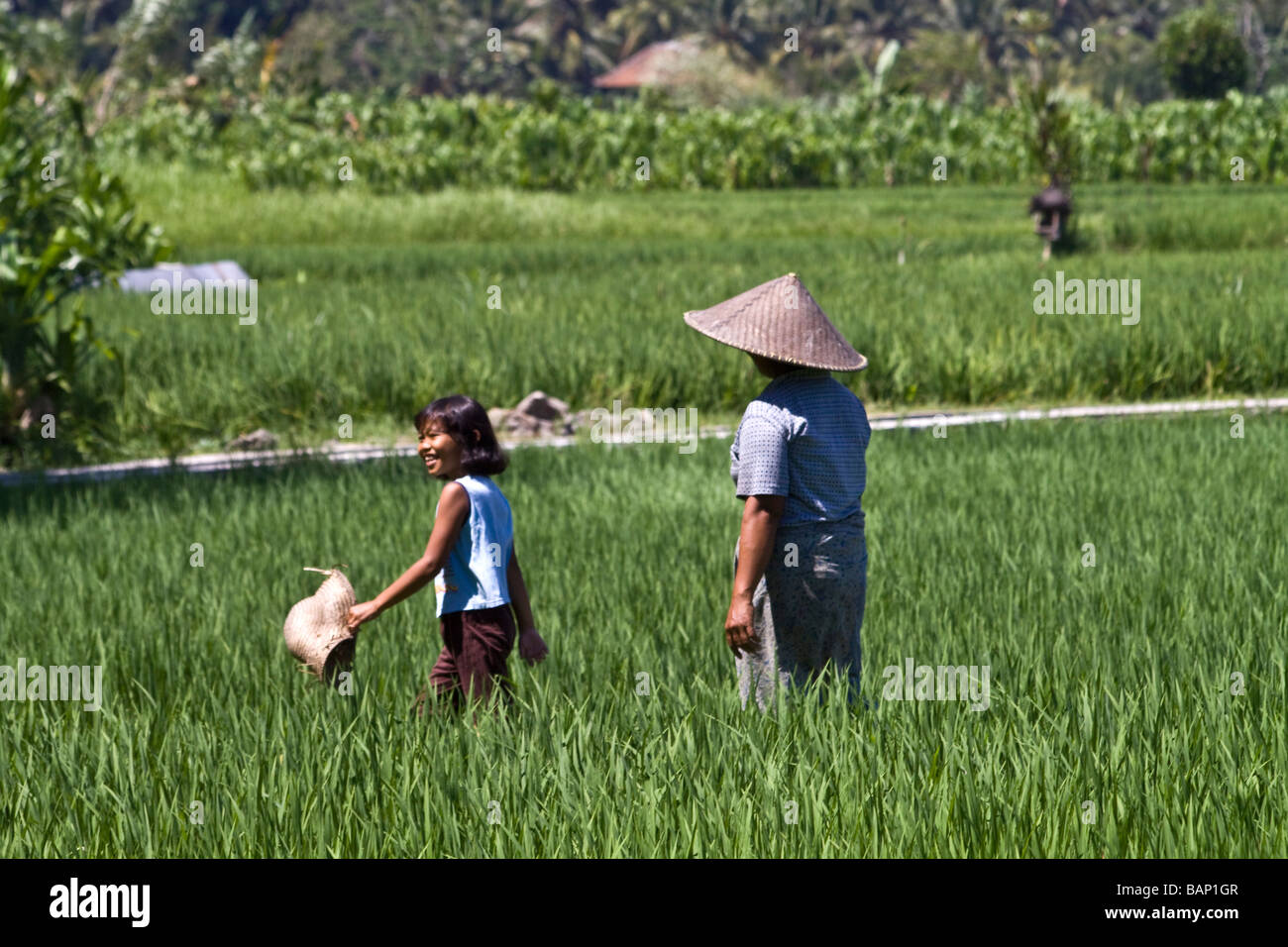 Bambina e le donne a camminare su campi di riso in Ubud Bali Indonesia Foto Stock