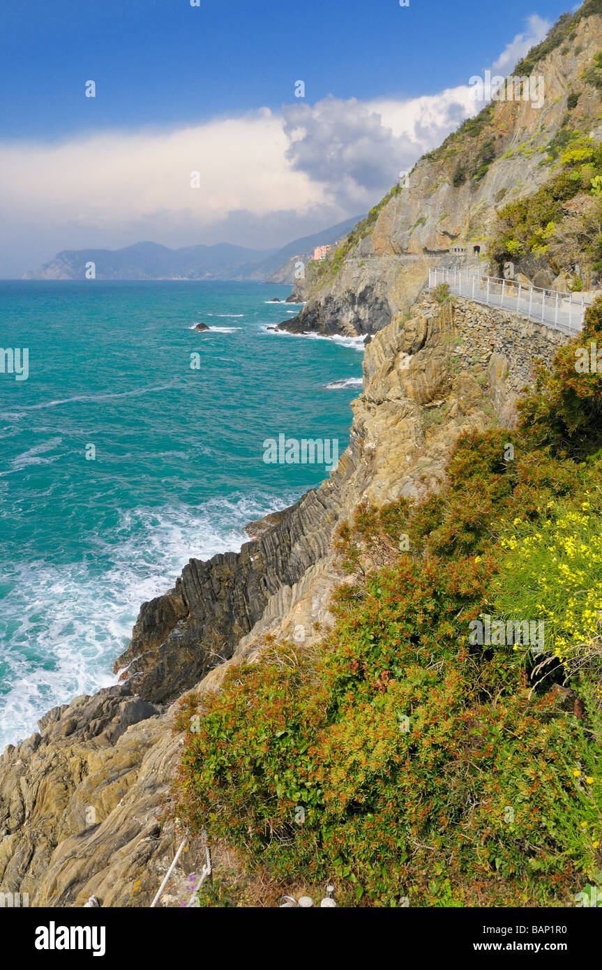 Vista da Via del Amore (Via dell' Amore) fino a Manarola, Cinque Terre Liguria, Italia. Foto Stock