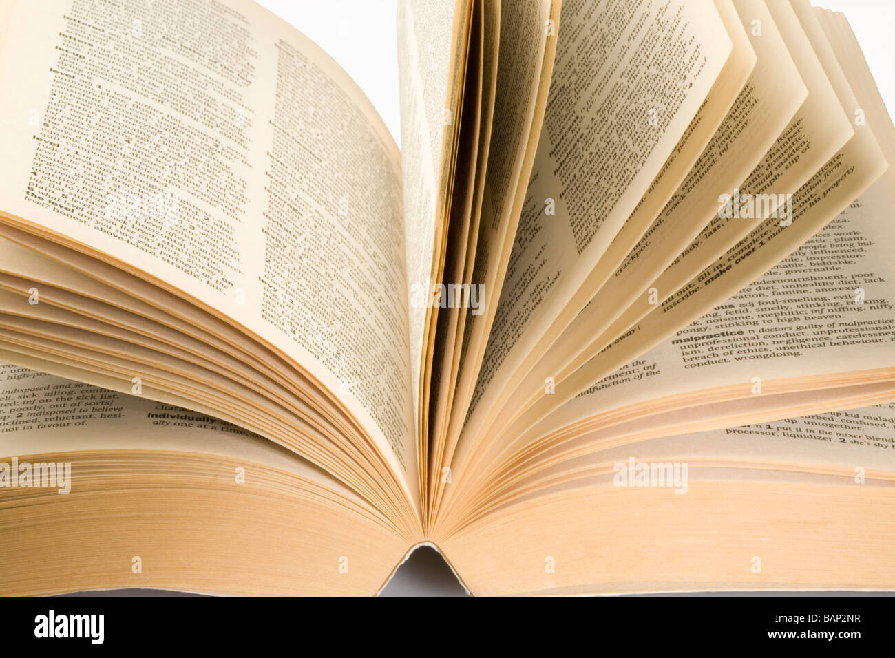 Pagine di un Thesaurus Foto Stock Pagine di un Thesaurus Foto Stock