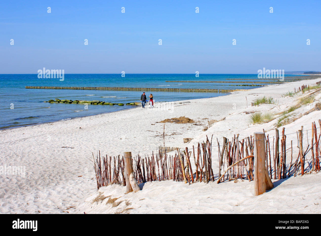 Spiaggia, Gellen, isola di Hiddensee, Mecklenburg Western-Pomerania Foto Stock