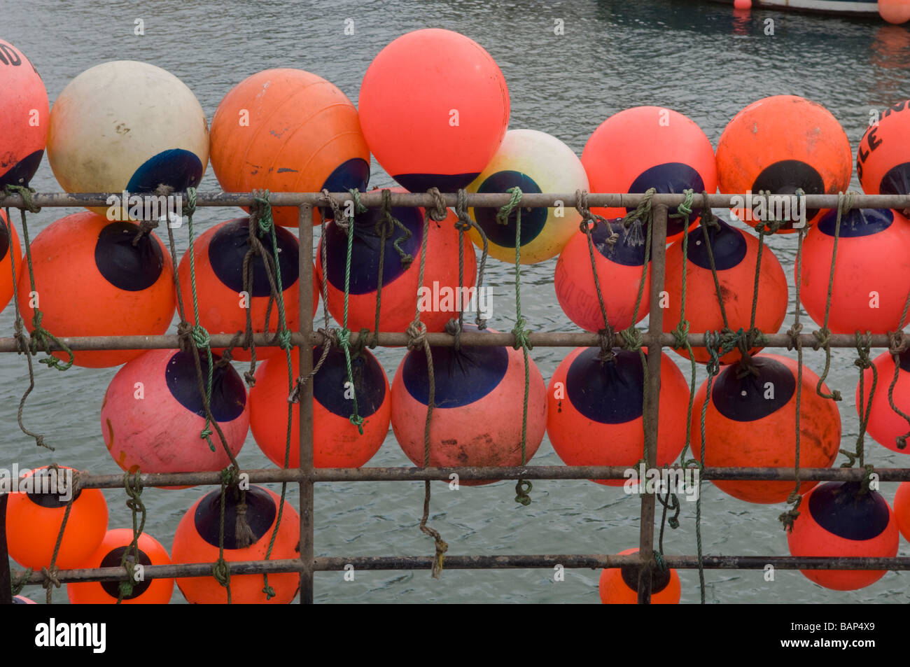 Boe arancione legato al lato di un commerciale peschereccio ormeggiata in porto a Weymouth nel Dorset, Inghilterra. Foto Stock