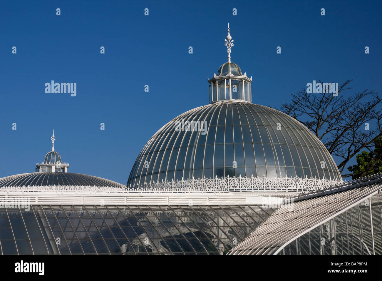 Dettaglio del tetto della cupola del bellissimo palazzo Kibble landmark serra in Glasgow Botanic Gardens, Scotland, Regno Unito Foto Stock