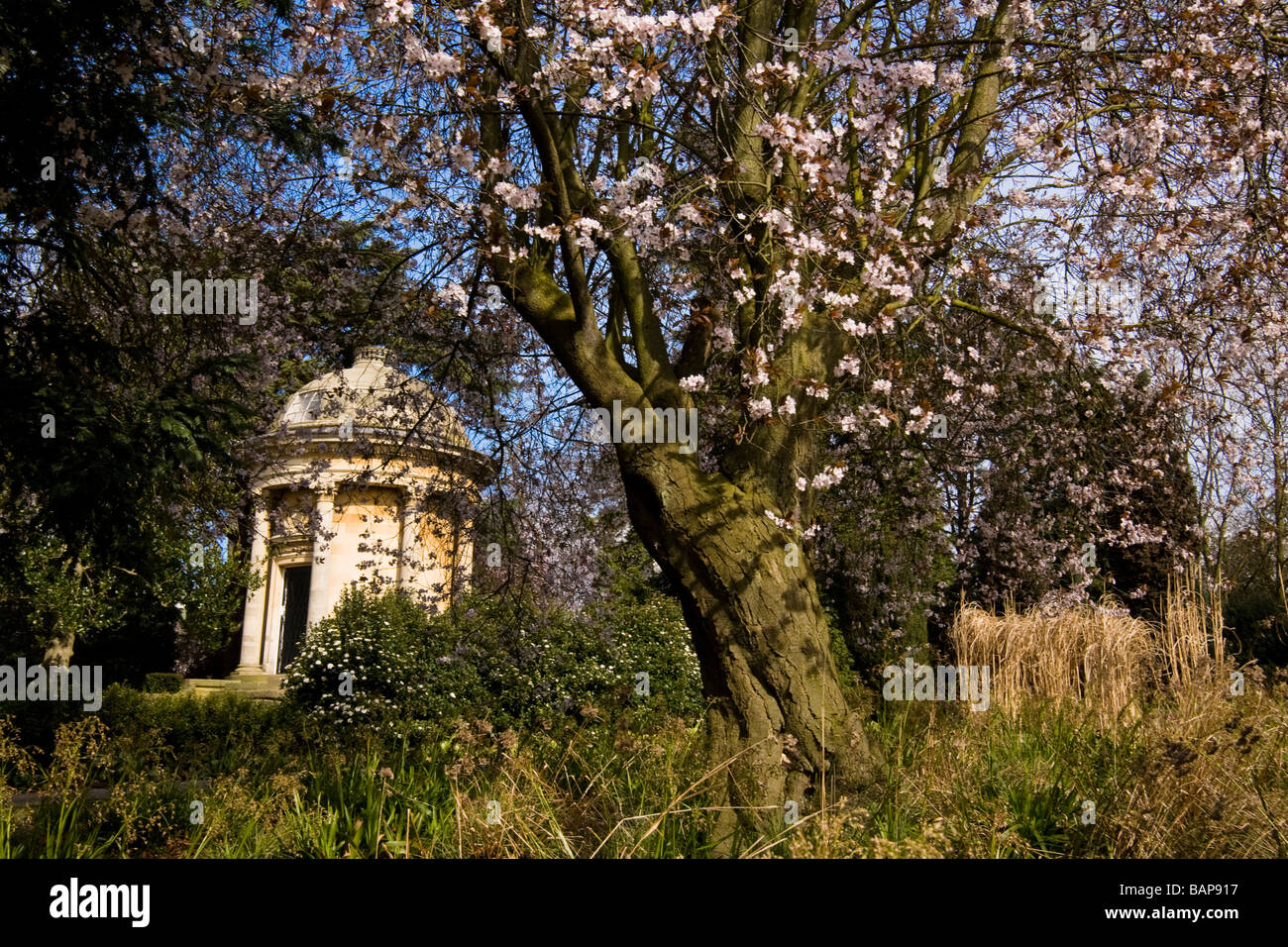Memorial Building in Jephson Gardens, Leamington Spa durante l inizio della primavera Foto Stock