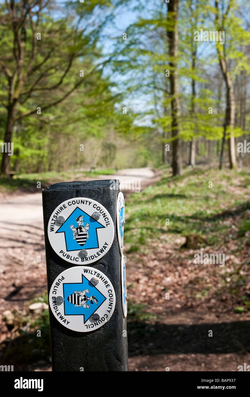 Segni che mostra le direzioni per la pubblica bridleways in boschi di West Wiltshire REGNO UNITO Foto Stock