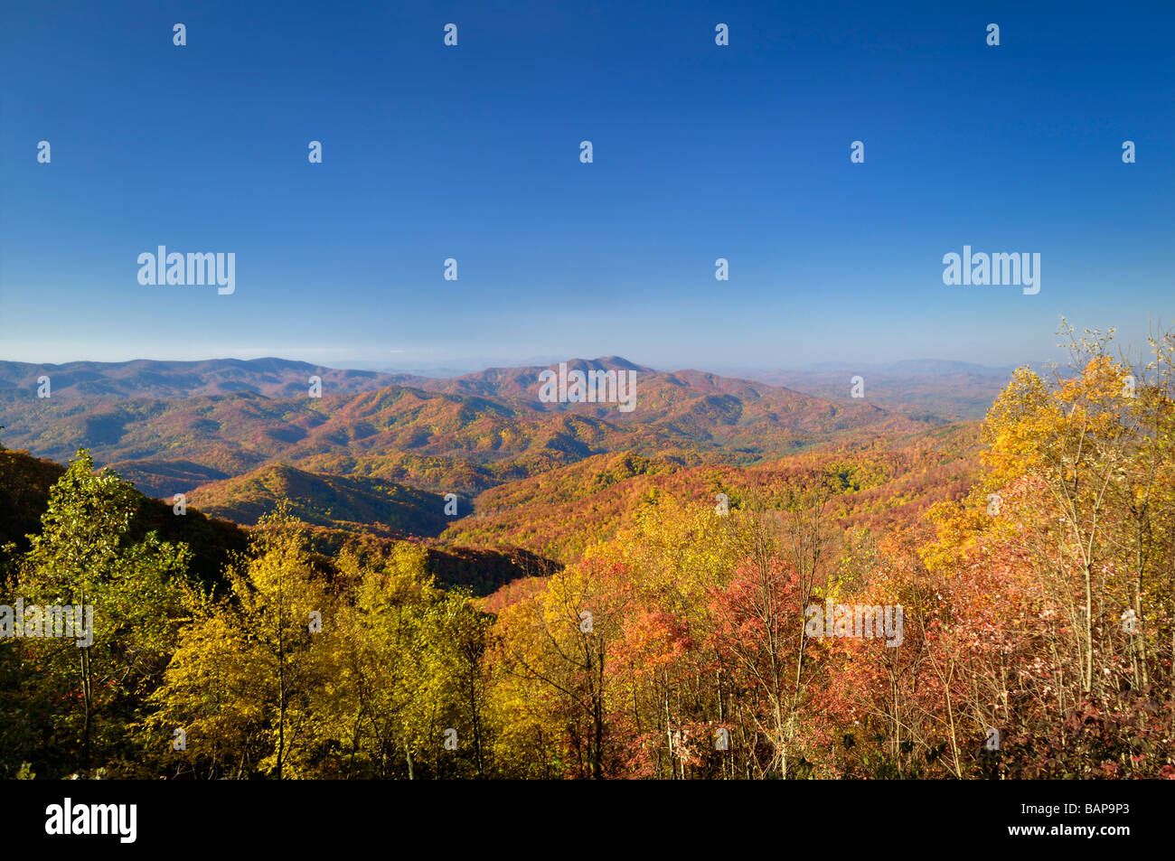 Inizio autunno su Cherohala Skyway in ottobre nei pressi di Tellico Plains Tennessee negli Stati Uniti. Foto di Darrell giovani. Foto Stock