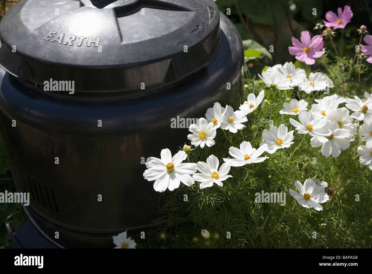 Il compost bin in giardino, Cypress Street comunità giardino, Vancouver, BC Foto Stock