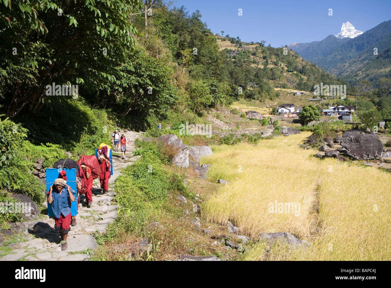 Facchini trekking lungo i modi Khola valley con Machhapuchhare crescente dietro Foto Stock