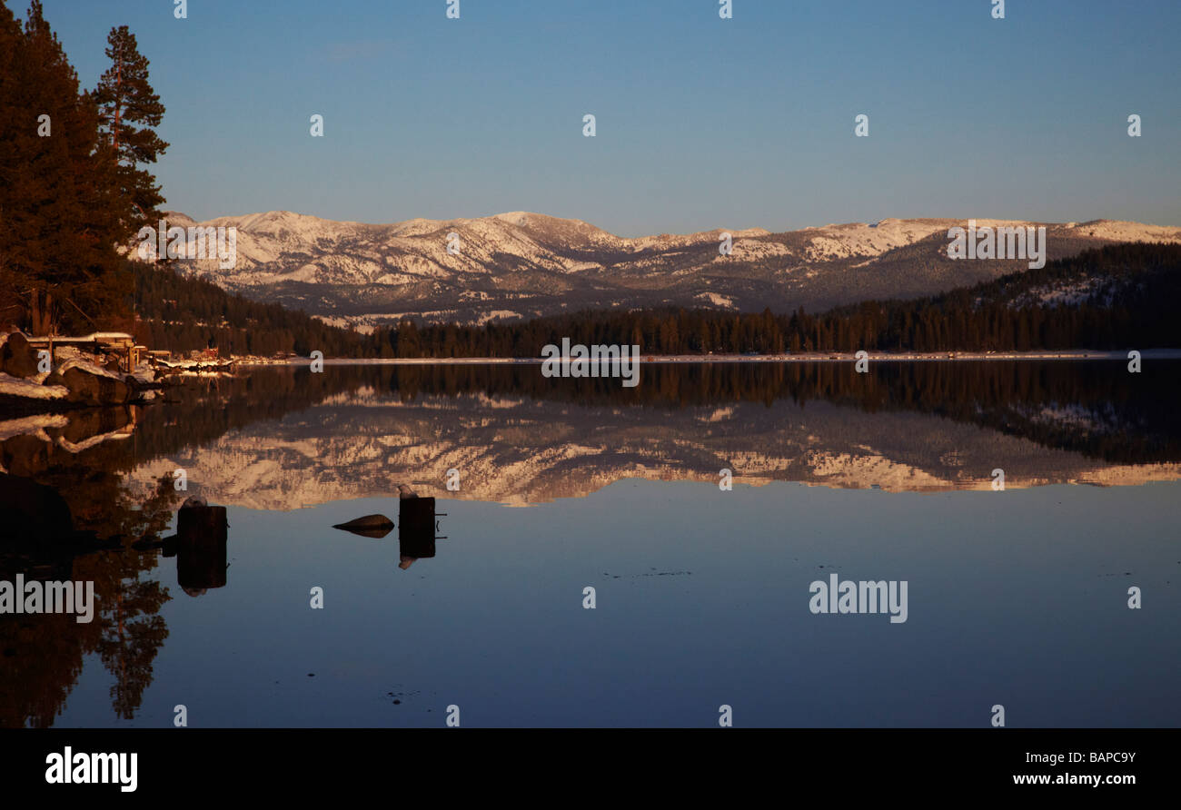 Ceppi di legno in acqua a Donner lago , in California Foto Stock