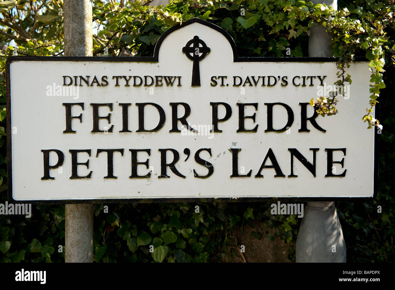 Bilingue inglese gallese strada segno Pietro s lane strada segno St David s City Pembrokeshire Wales UK Foto Stock