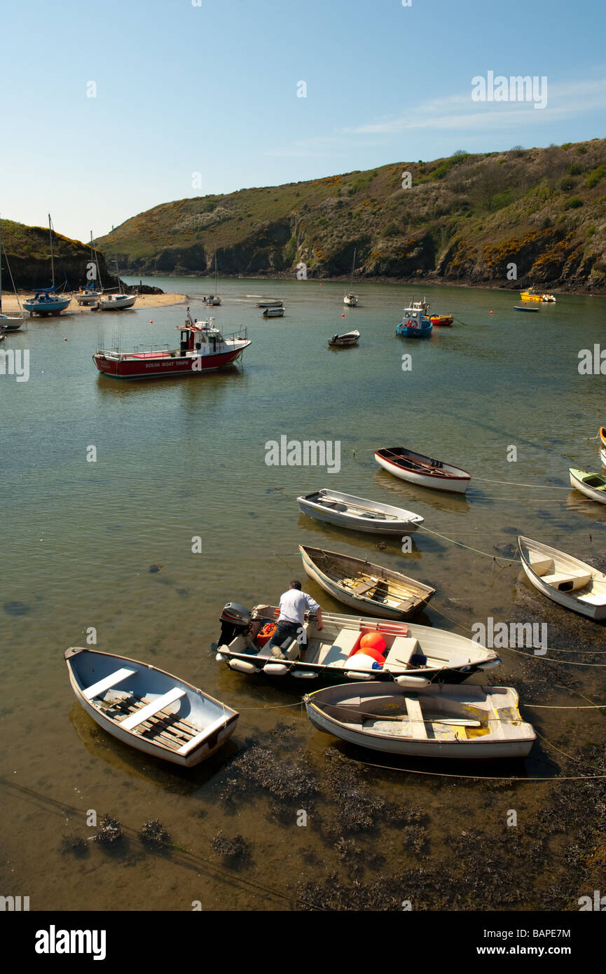 Barche e yacht ormeggiati in porto Solva di marea in ingresso Il Pembrokeshire Coast National Park Wales UK Foto Stock