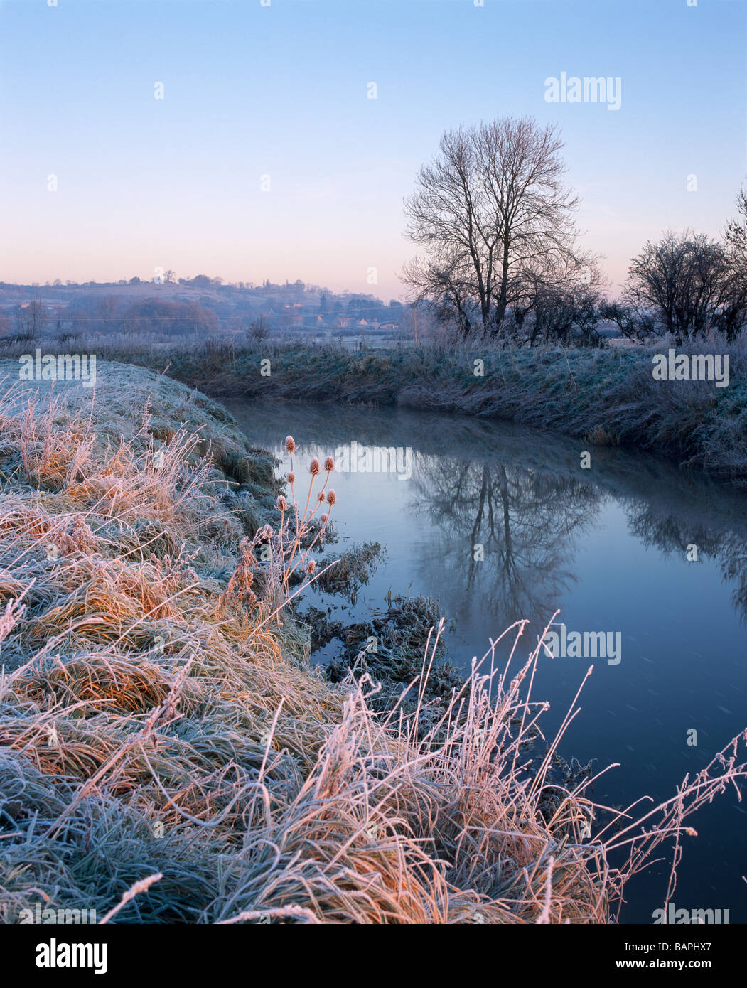 Il fiume Brue a South Moor ai livelli del Somerset a Glastonbury, Somerset, Inghilterra Foto Stock