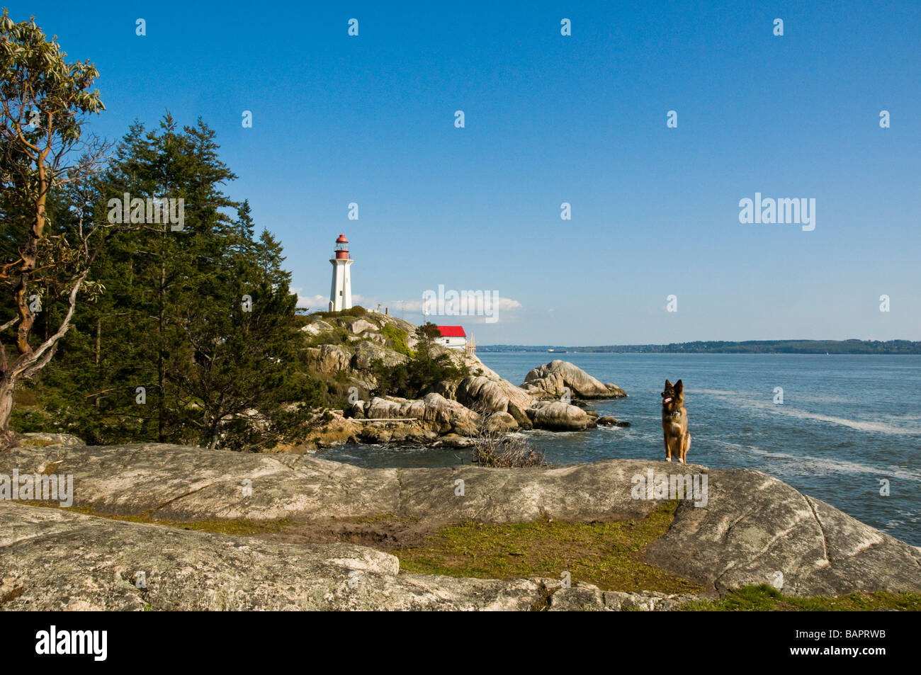 Lighthouse Park West Vancouver Foto Stock
