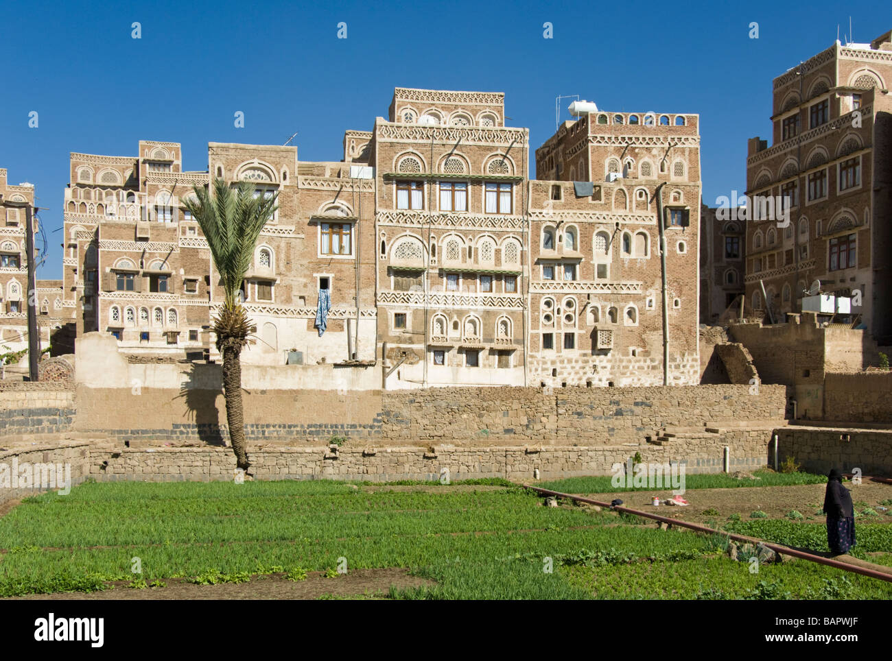 Tradizionale giardino bustan con edifici nel quartiere del centro storico di Sana'a, Yemen Foto Stock