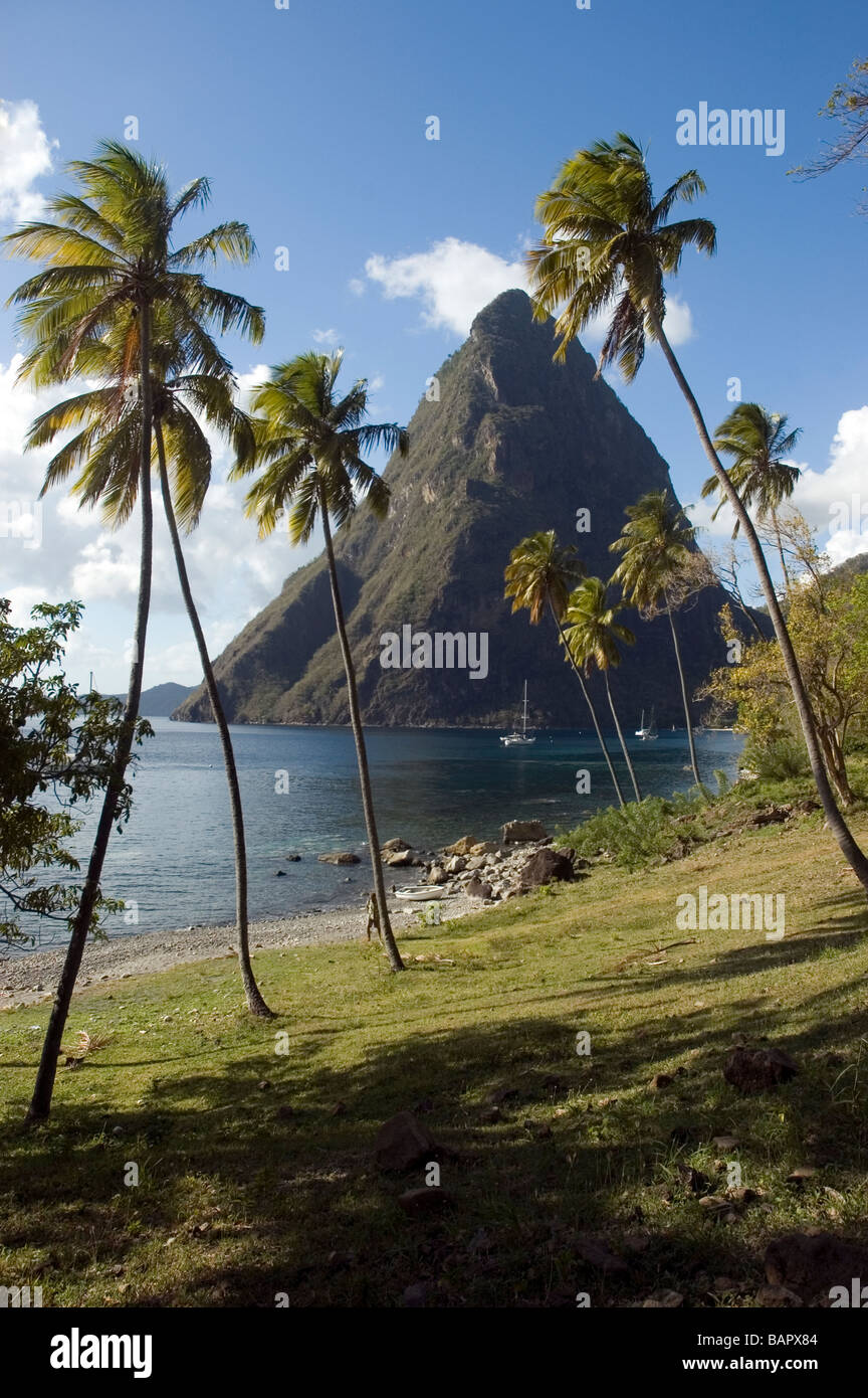 I pitons in Santa Lucia Foto Stock