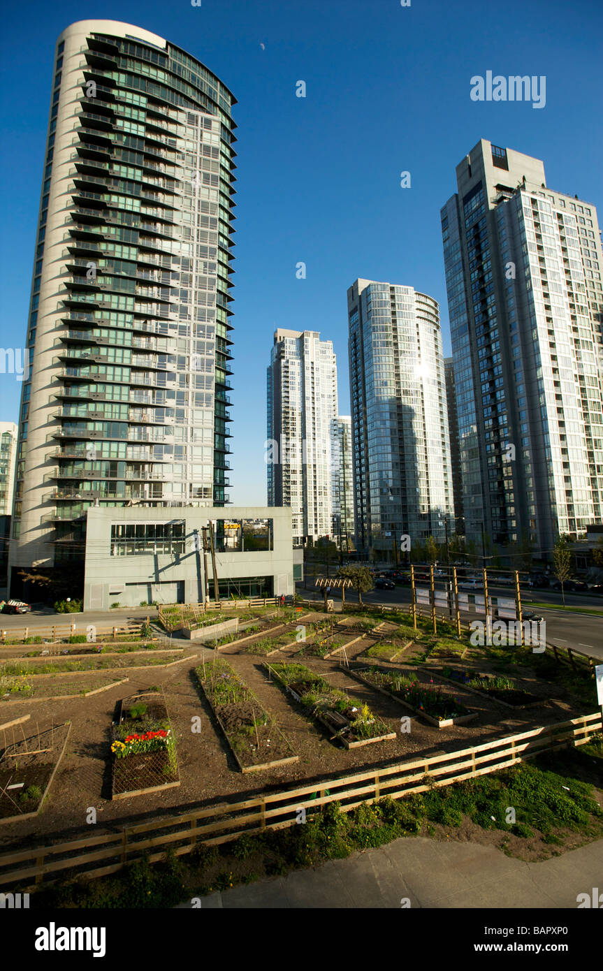 Un giardino urbano Vancouver BC Canada Foto Stock