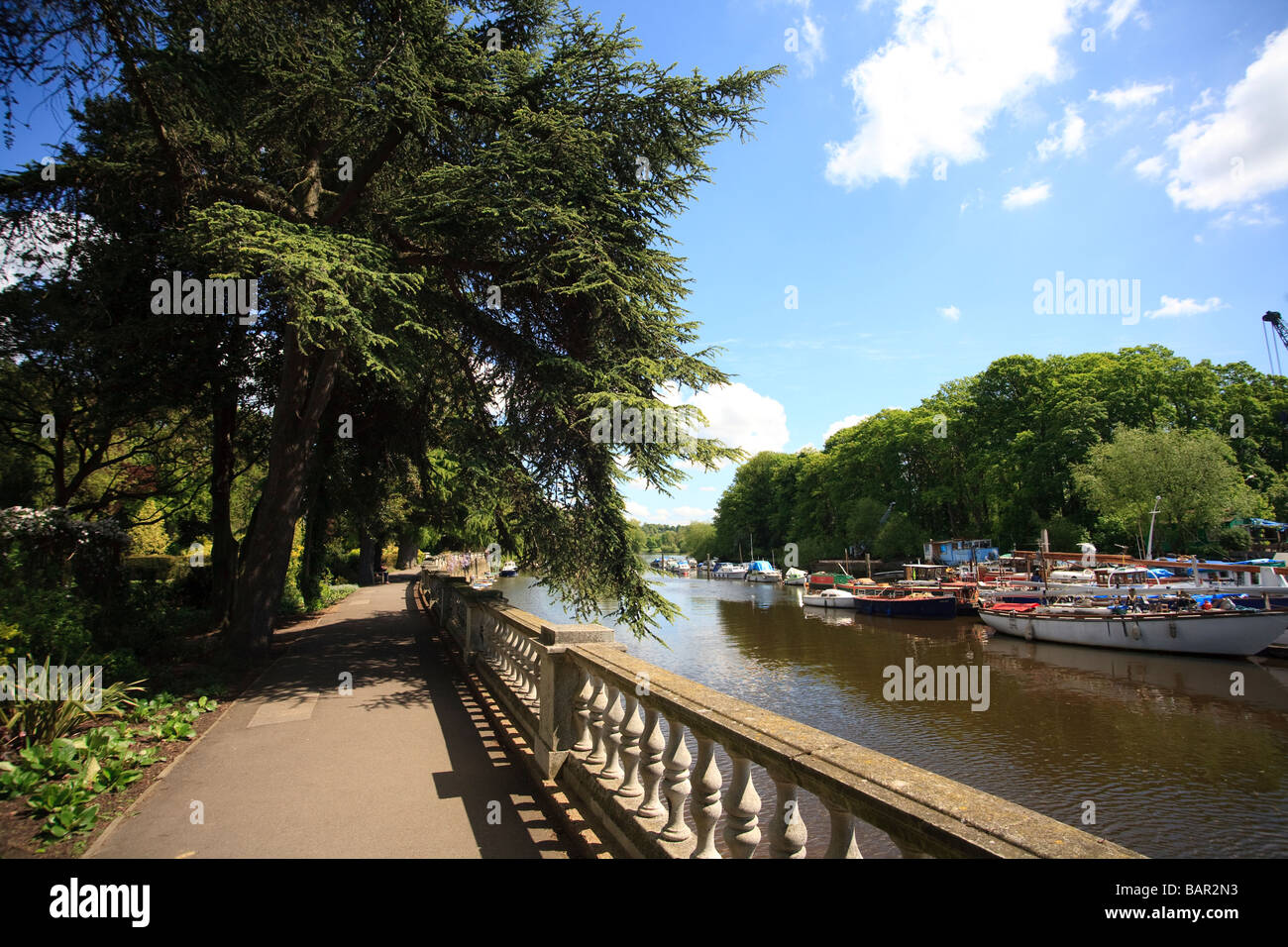 Torta di anguilla isola del fiume Tamigi a Twickenham da York House Gardens Foto Stock