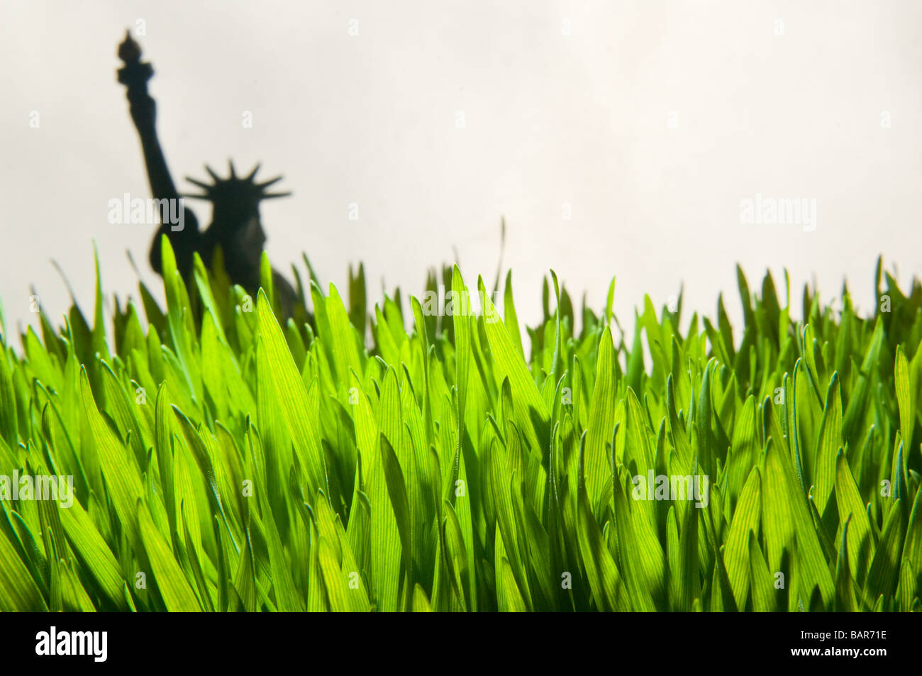 Erba di frumento close-up con Statua della Libertà modello. Foto Stock