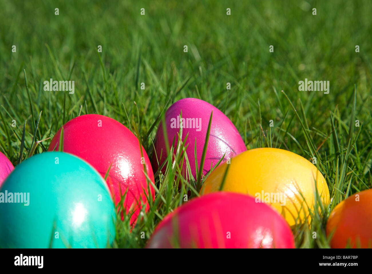 Colorate le uova di pasqua Foto Stock