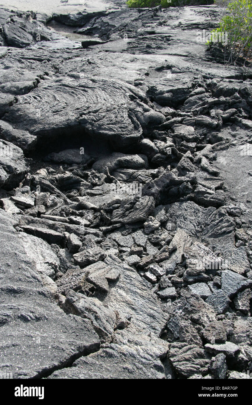 Flusso di lava solidificato, Punta Espinoza, Fernandina Island, Isole Galapagos, Ecuador, Sud America Foto Stock