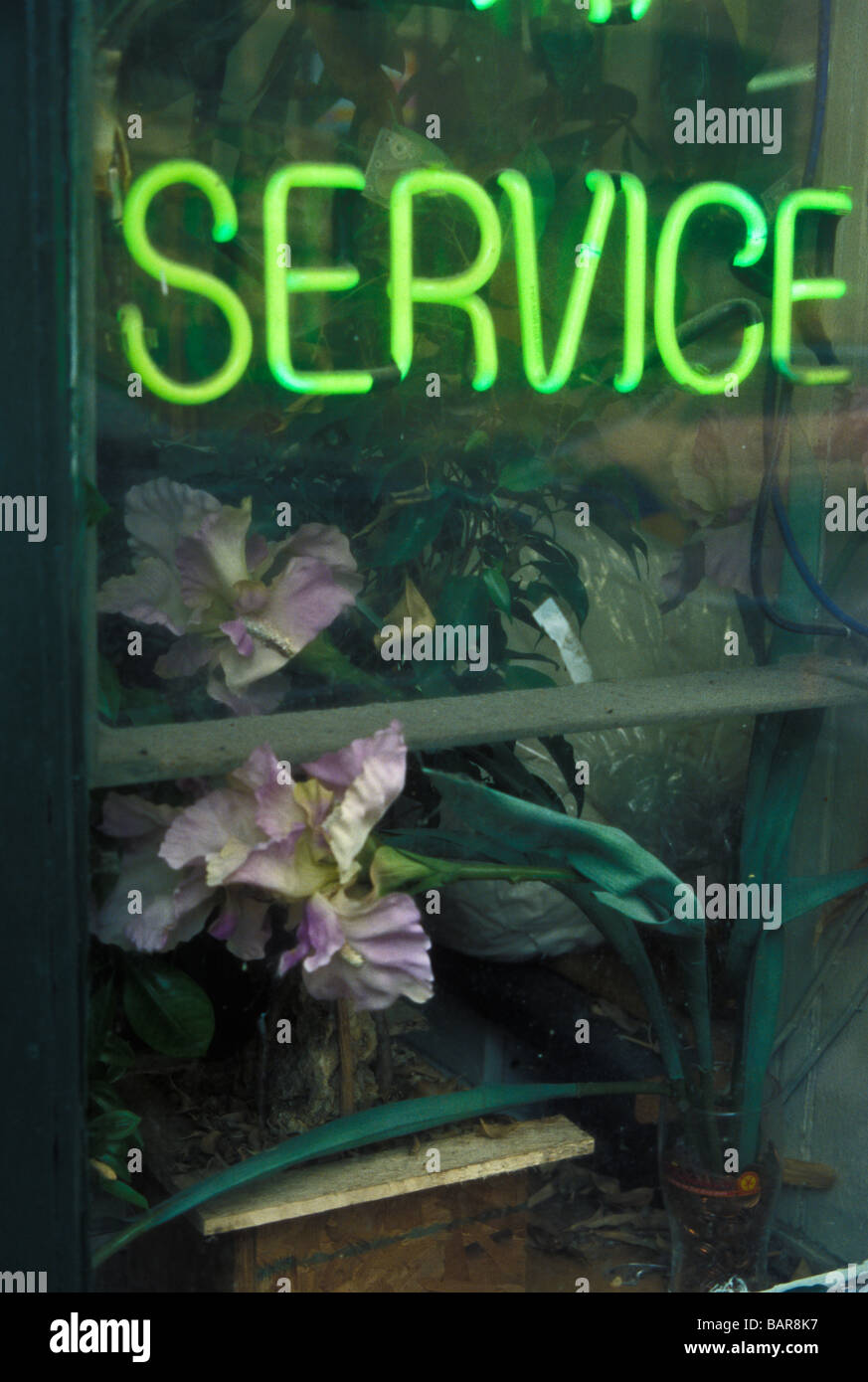 Il neon sservice segno Foto Stock