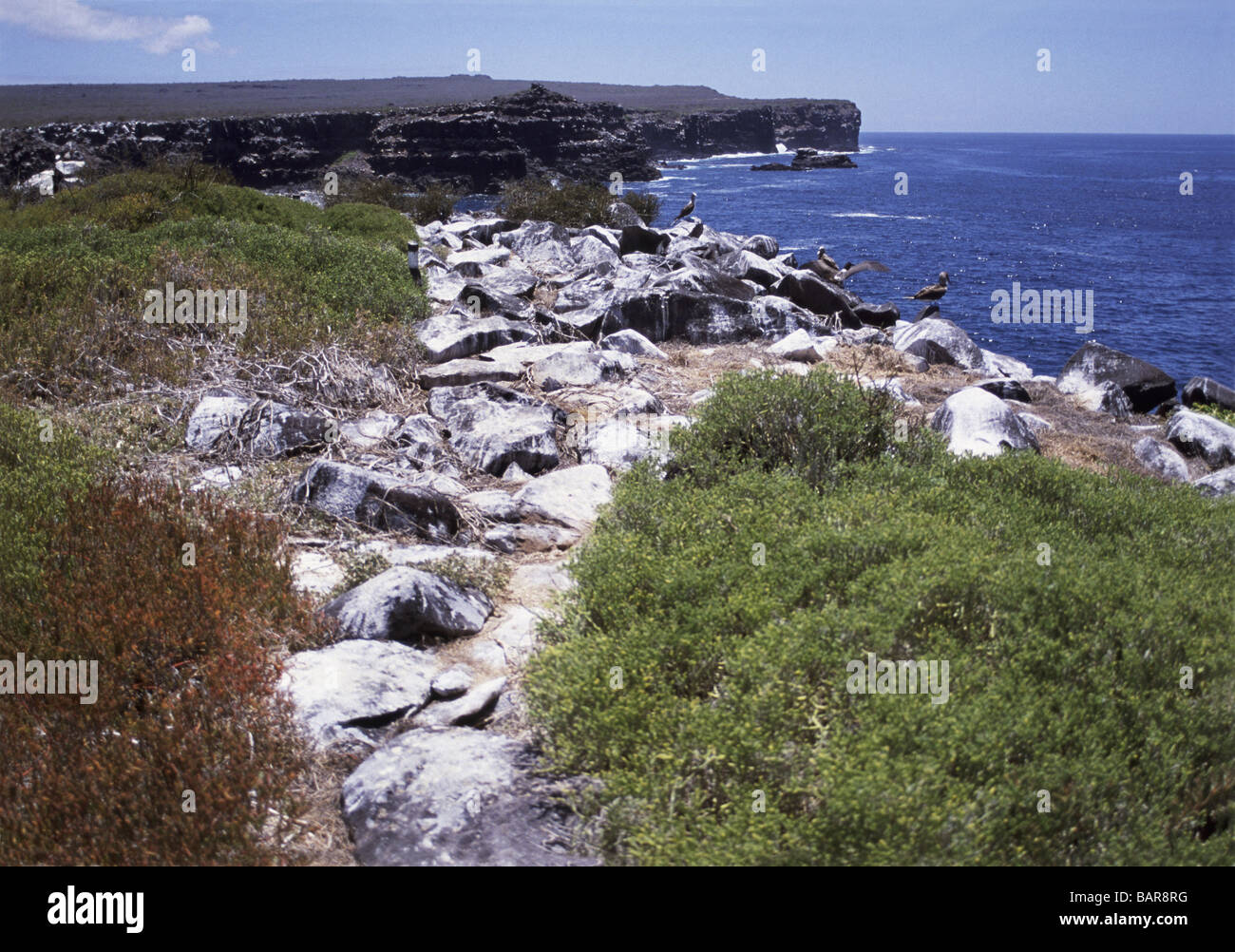 Isole Galapagos.il cofano isola. Punto Suarez la punta occidentale dell'isola. Foto Stock