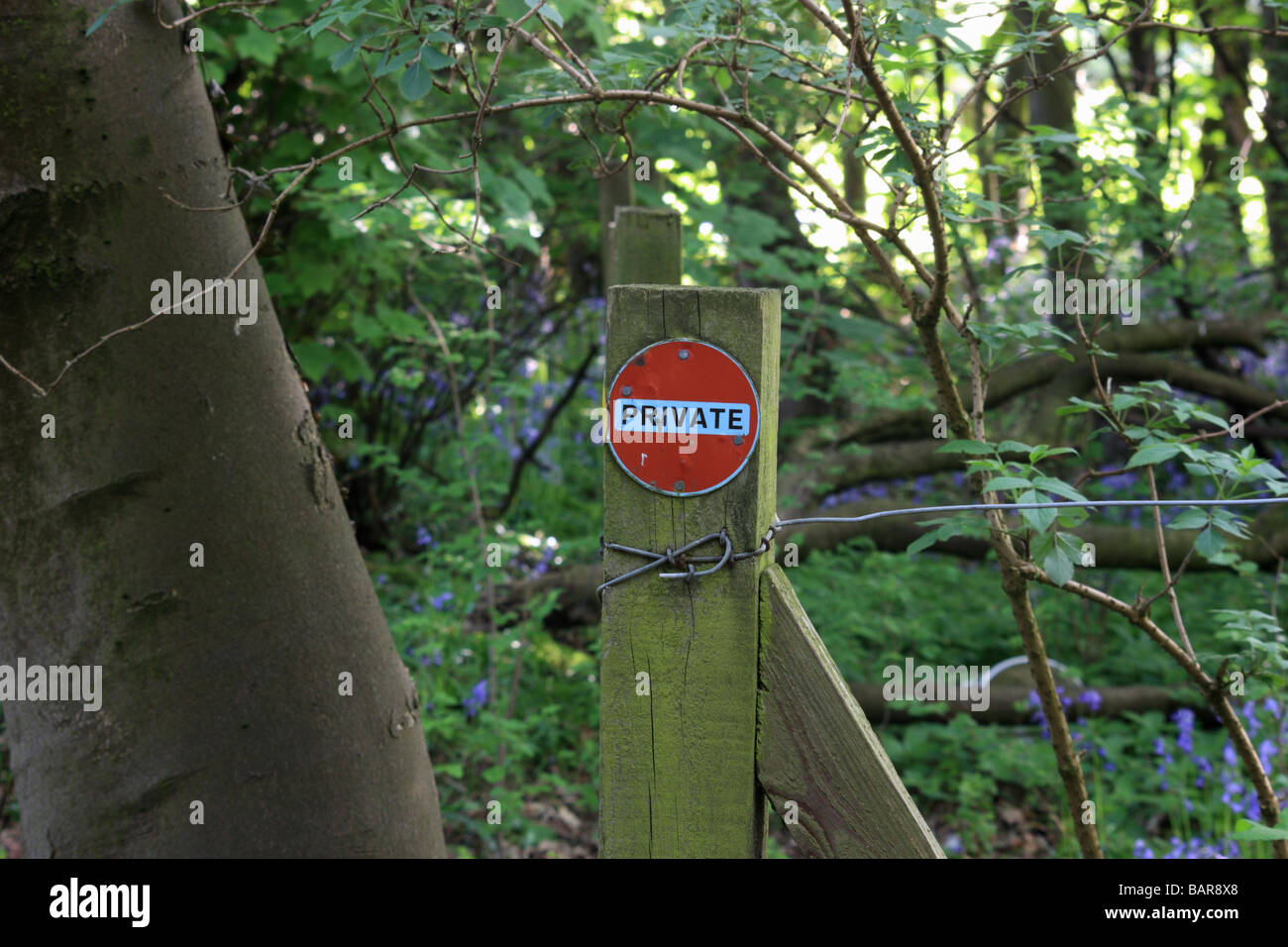 'Privato' segno su un palo da recinzione nel bosco Foto Stock