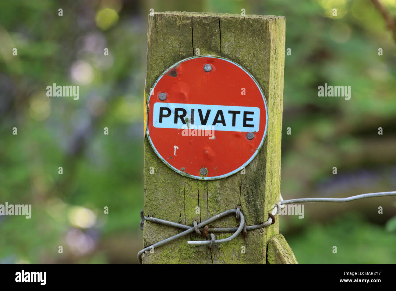 'Privato' segno su un palo da recinzione nel bosco Foto Stock
