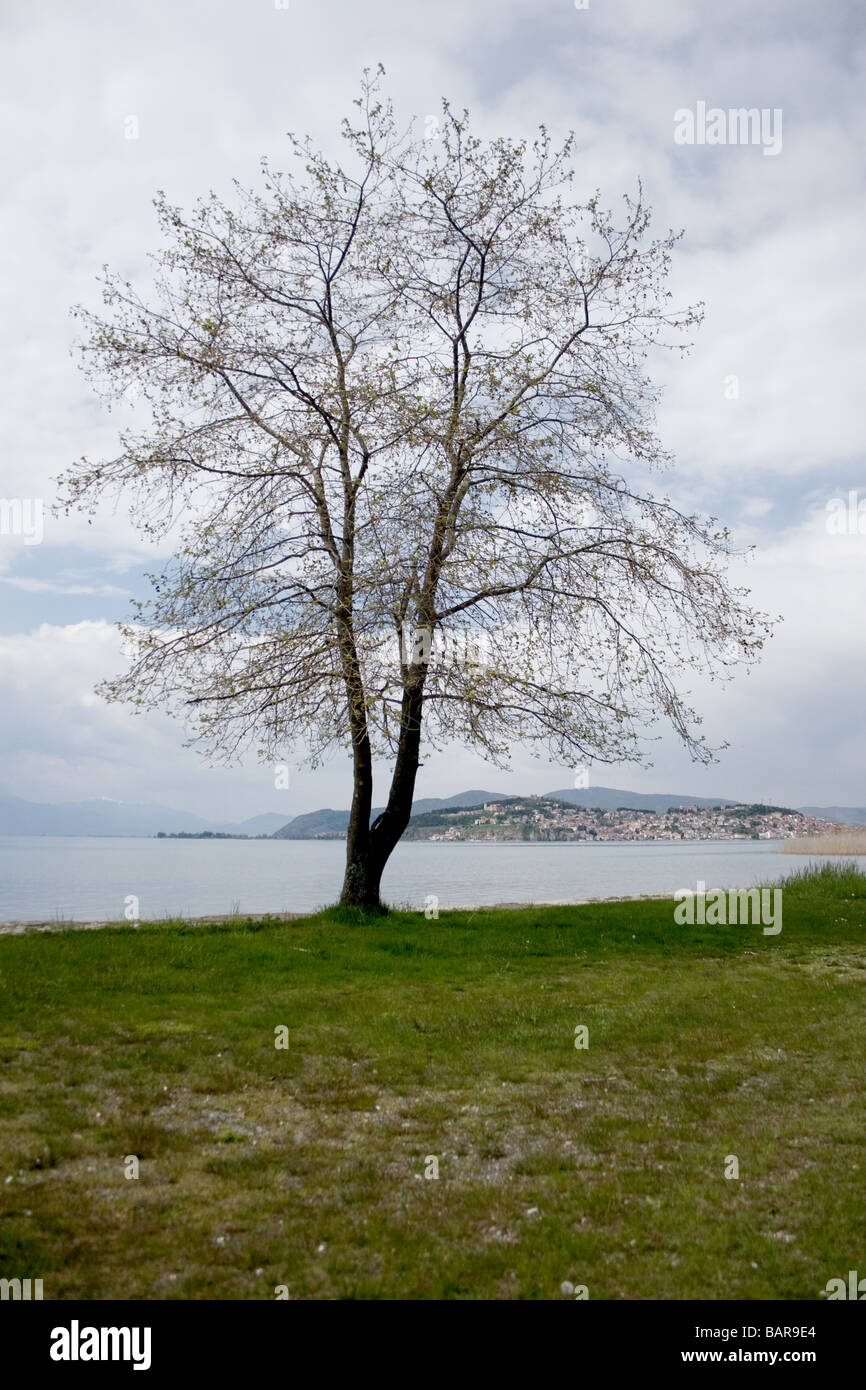 Vista del lago di Ohrid Foto Stock