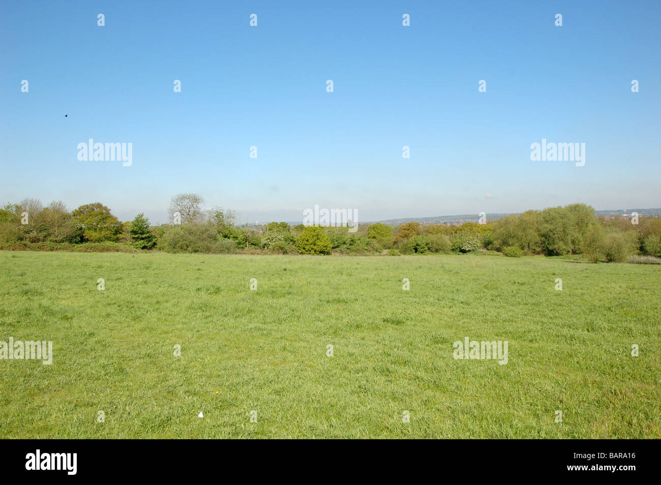 Fryent Country Park, Fryent modo Kingsbury, London, England, Regno Unito Foto Stock