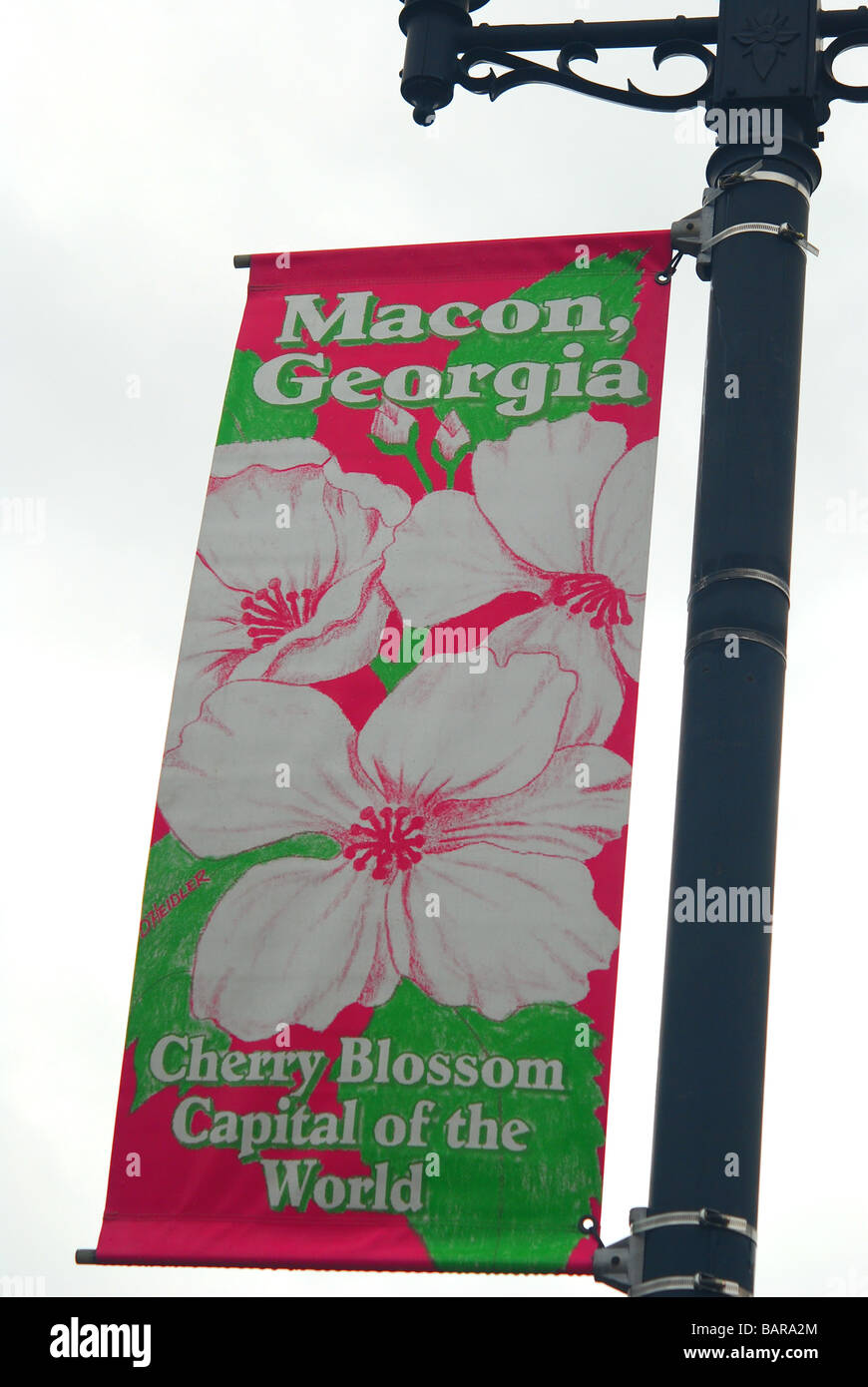 Segno di strada e street a Macon, Georgia Cherry Blossom Capitale del mondo Foto Stock