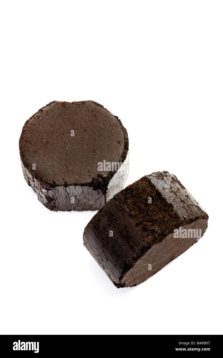 Mattonelle di lignite, close-up Foto Stock