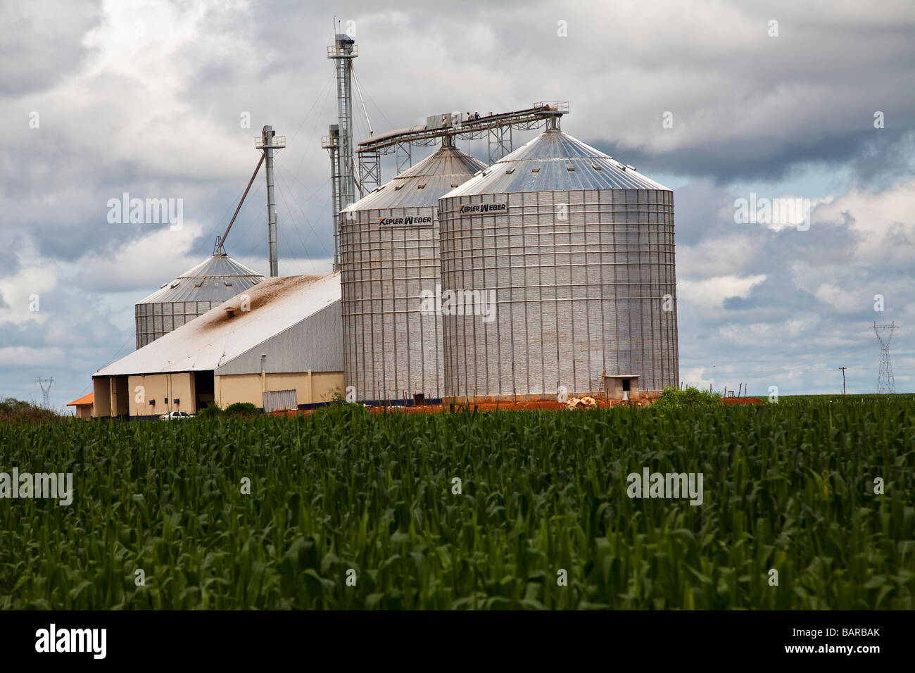Agricoltura piantagione di mais e silos BR 163 road a Mato Grosso membro Brasile Foto Stock