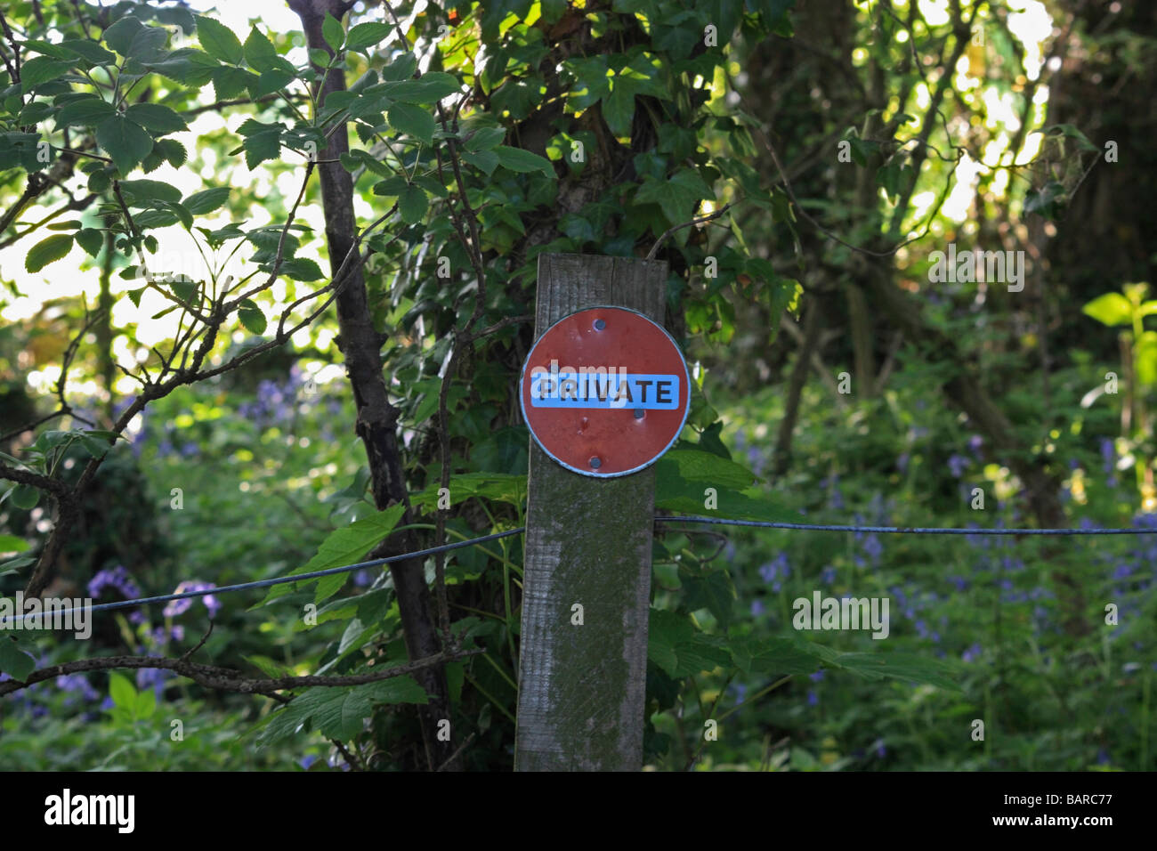 'Privato' segno su un palo da recinzione nel bosco Foto Stock